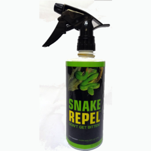 Go Snake