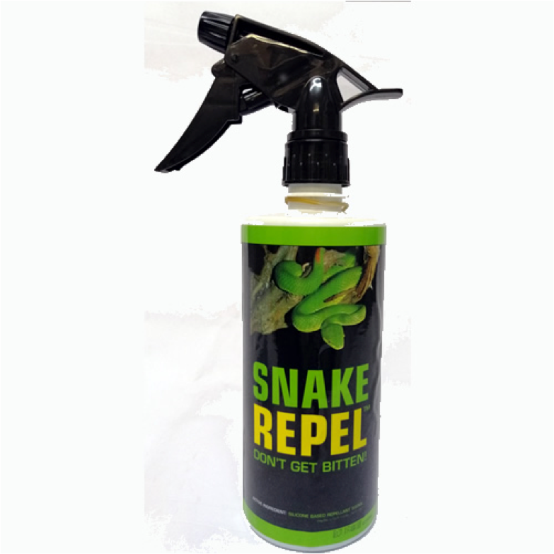 Go Snake